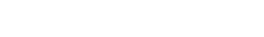 VISIONARE